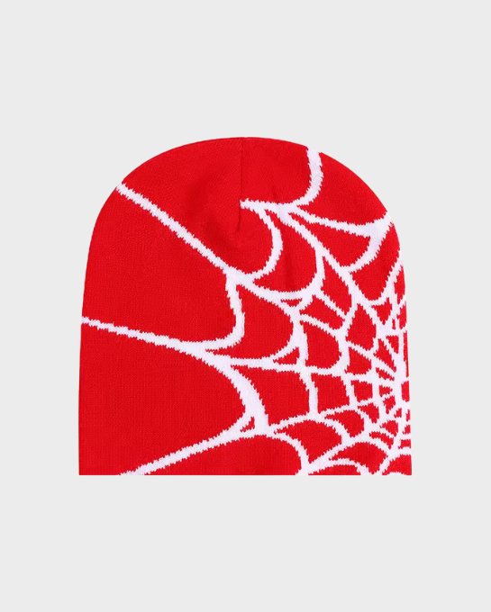 Spider Web Beanie