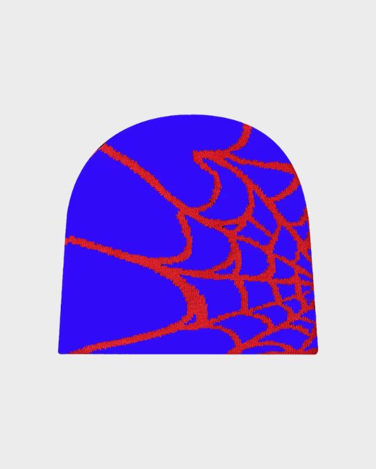Spider Web Beanie