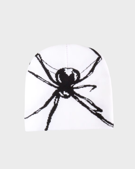 Spider Knit Beanie