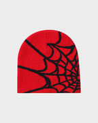 Spider Web Beanie