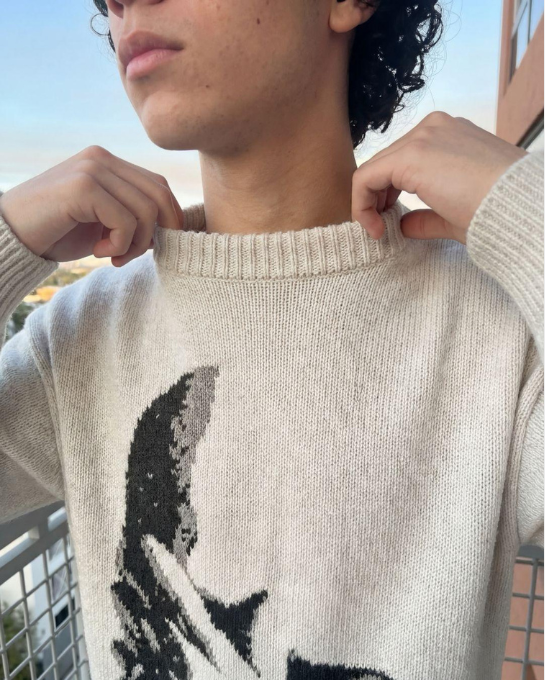 Hidden Face Knit Sweater Frank Ocean