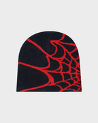Spider Web Beanie